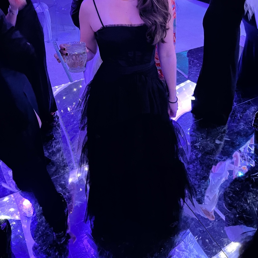BCBG tulle gown in black - Picture 3 of 3